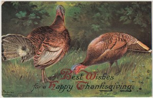 Best Wishes for a Happy Thanksgiving pc1