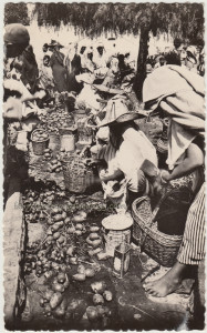 Figues de Barbarie1