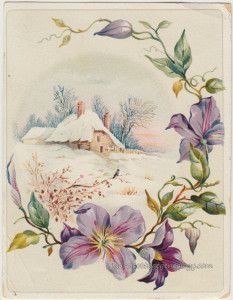 Winter Cottage With Clematis