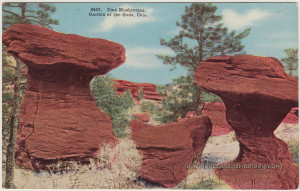 Garden of the Gods Two Mushrooms pc1