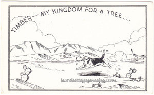 My Kingdom For A Tree pc1