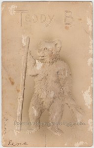 Teddy B pc1