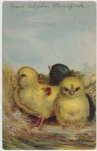 Three Chicks For Easter pc1