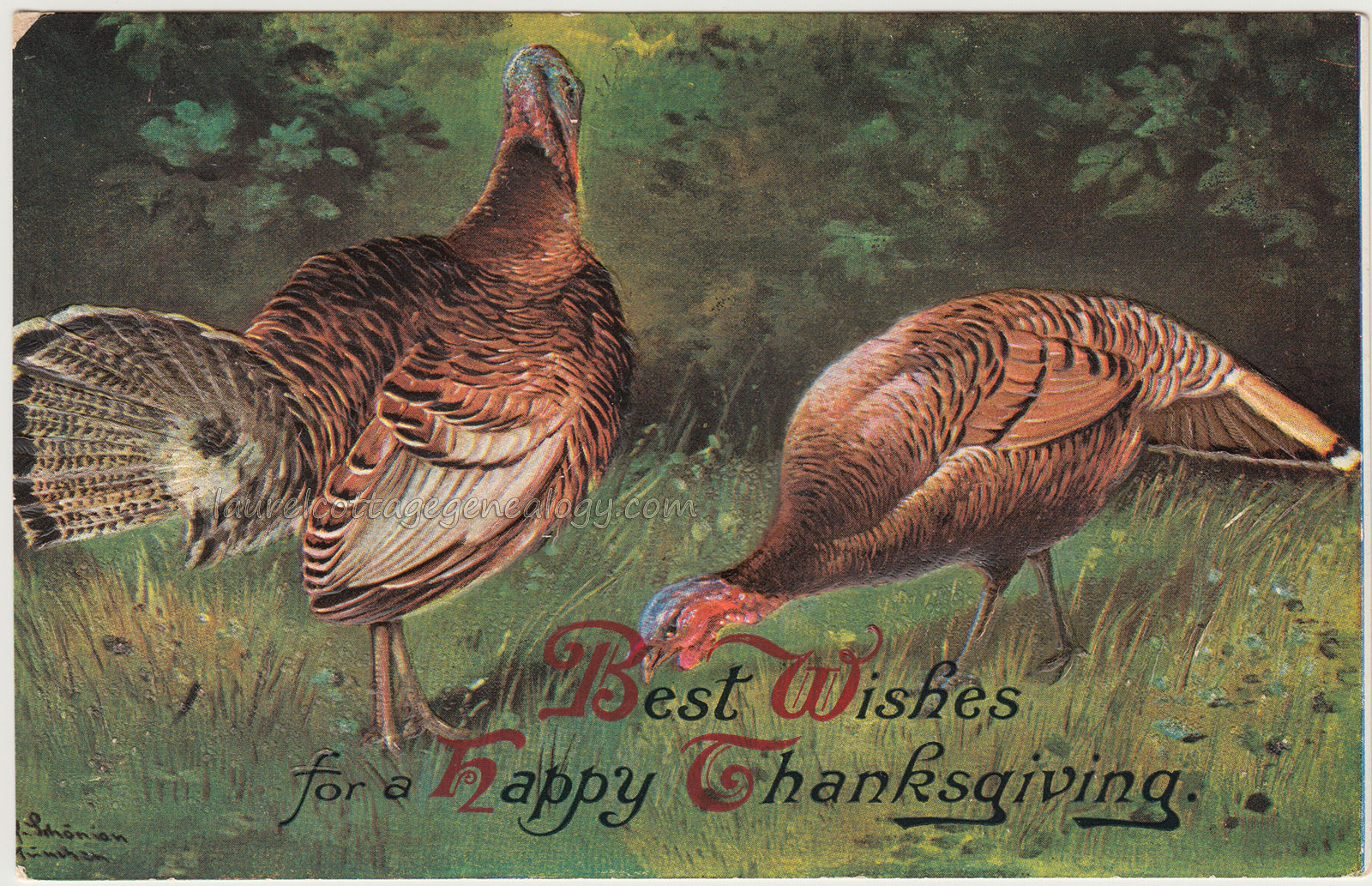 Best Wishes For A Happy Thanksgiving | Laurel Cottage Genealogy