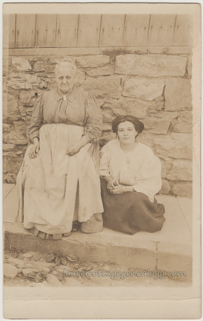 Neshanic Station NJ genealogy for Cruser family Laurel Cottage Genealogy